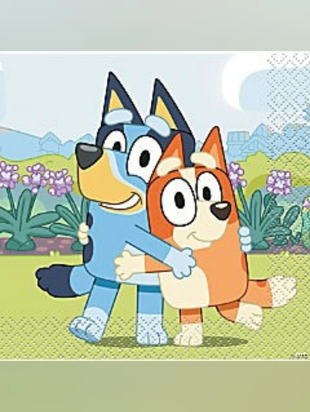 Bluey Party Box!